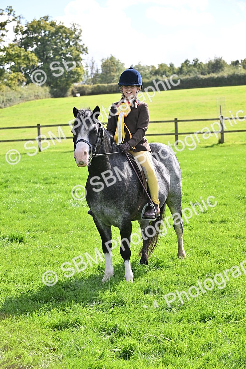 SBM_44598 - S13 - Pony Club Pony