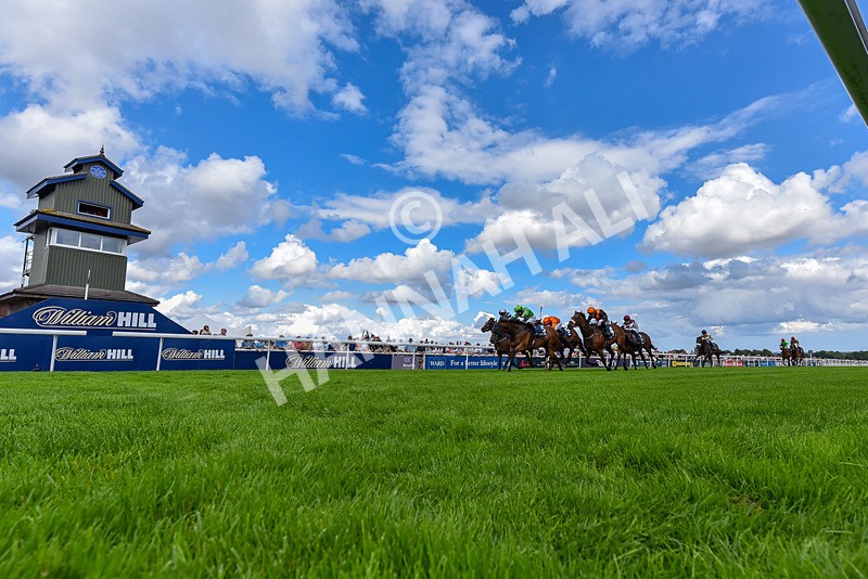 300826-Race 2-Jm Jungle-6560 - Race 2 2.15pm William Hill Beverley Bullet Sprint Stakes