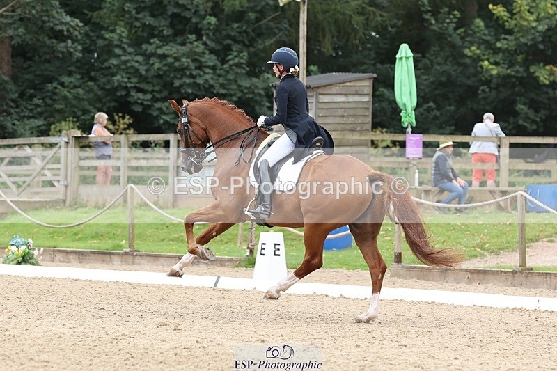 240810-133541-03353 - 188-Amanda.Towle.Shaw-Rockwood.Virtue