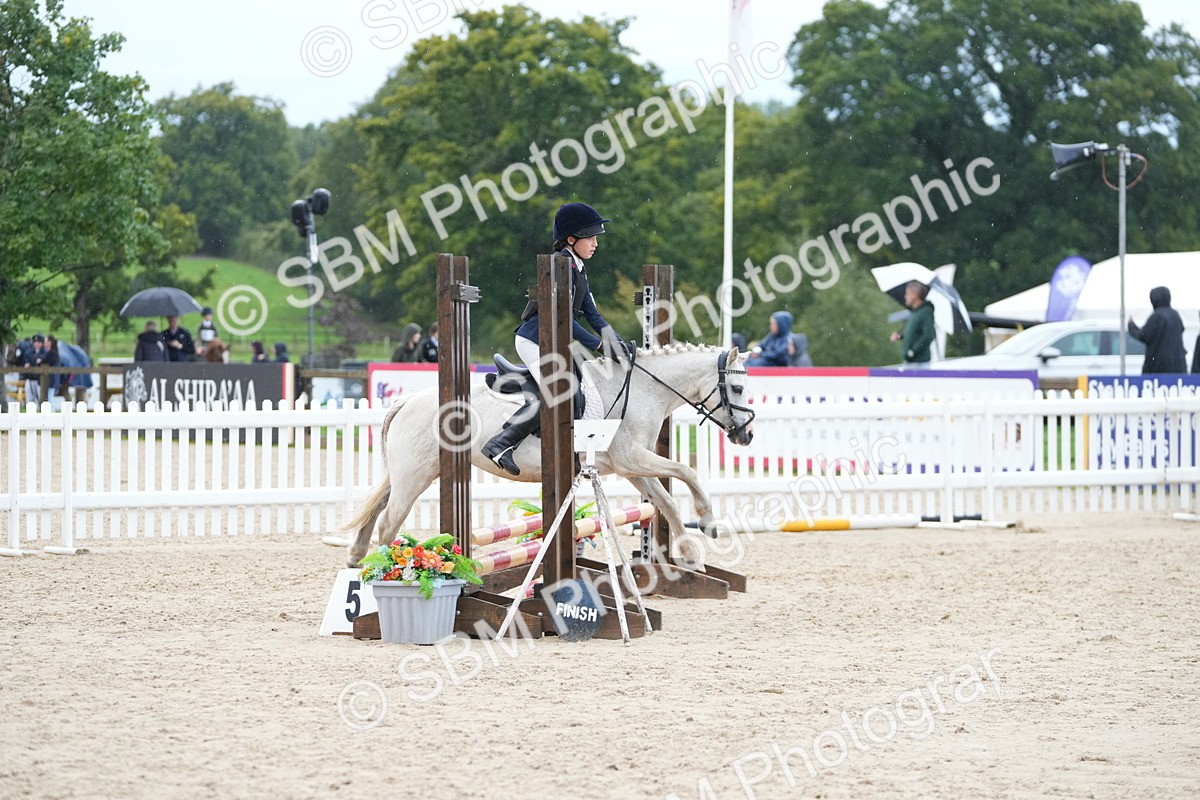 SBM_36357 - J5 - Junior Pony 50cm Championship