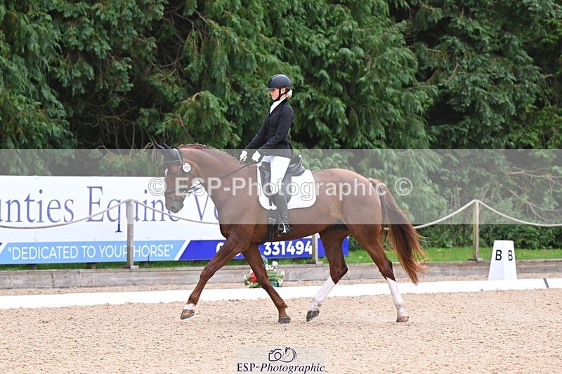 240809-121657-00727 - 185-Daisy.Hedges-Felicia.v