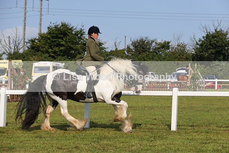 1X9A3273 - Class 28: Ridden Native/Trad Coloured Pony