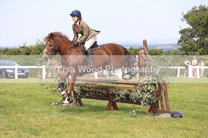 JPP_3690 - Class 23: Working Hunter 80cm