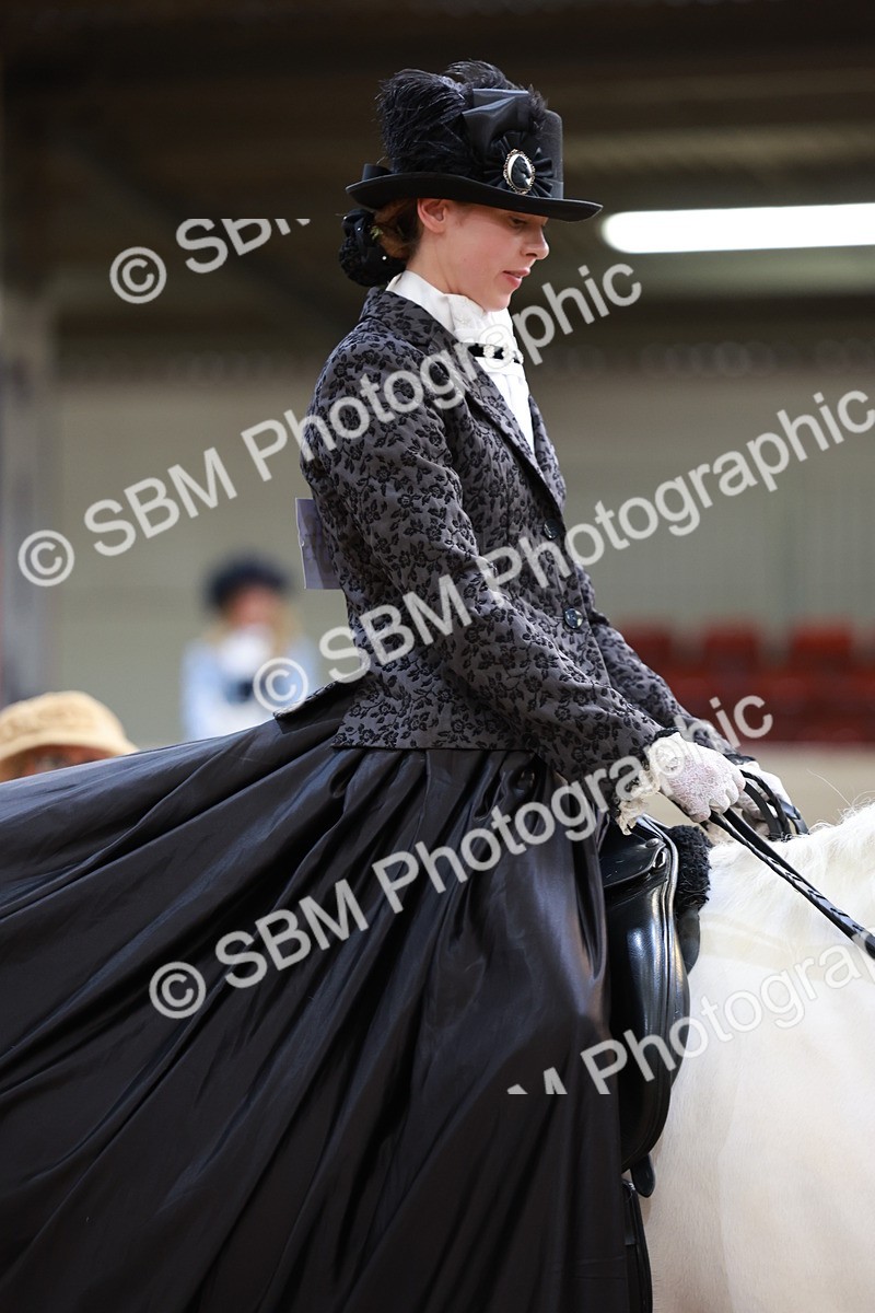 SBM_13775 - Class 106 - Ridden Costume -Astride Adult (15-19)