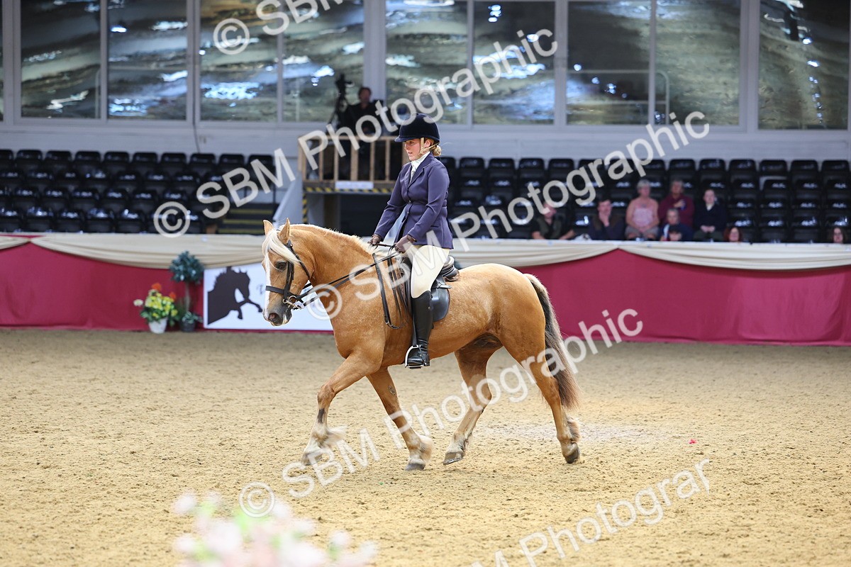 SBM_23529 - Class 904 - Supreme Final Ridden Diamond