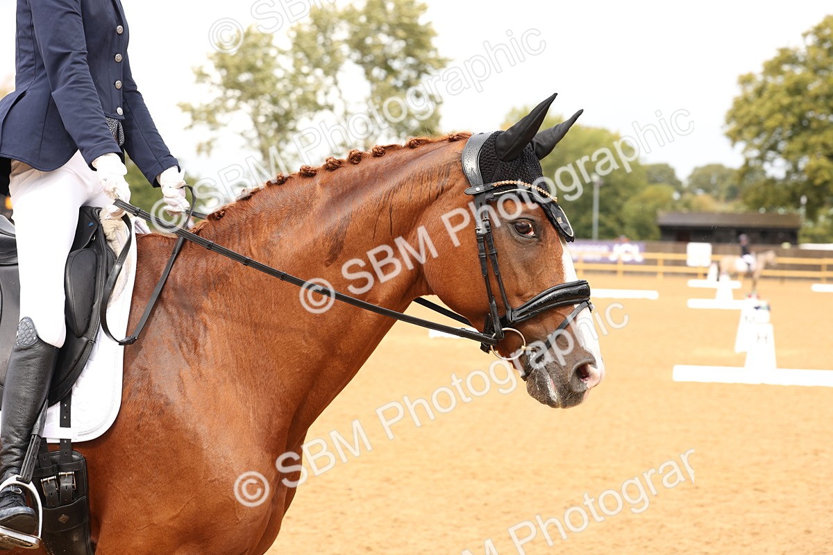 SBM_44147 - D6 - Small Tour Championship Intro 4