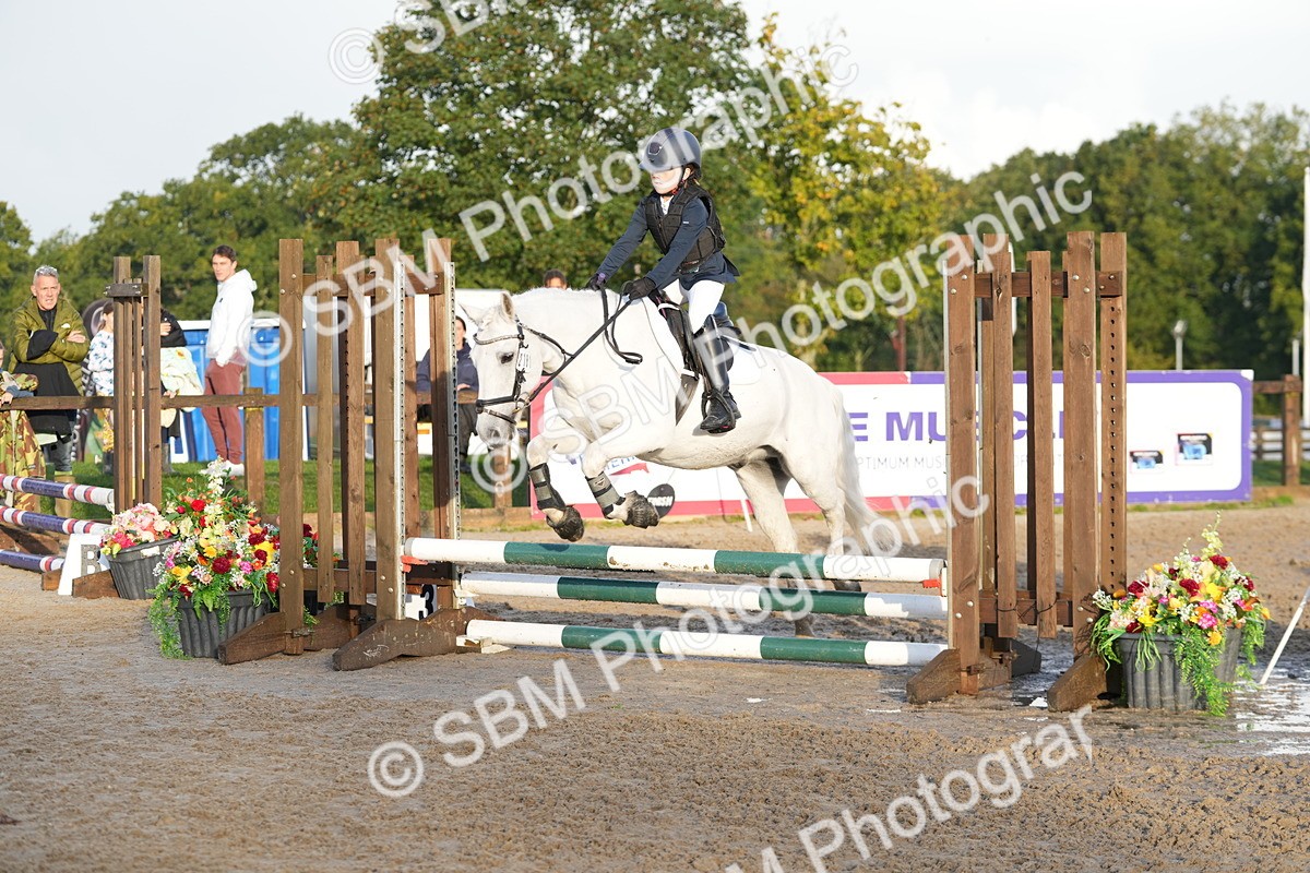 SBM_32203 - J5 - Junior Pony 50cm Championship