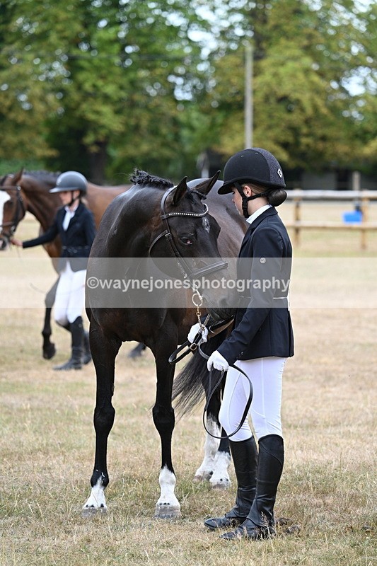 WJ7_9190 - Class 4a Prettiest Mare 14.2hh and over