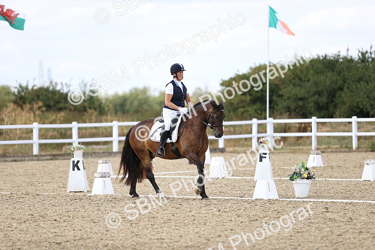SBM_015346 - Class 5 - E5 Bronze 14.42.15.54