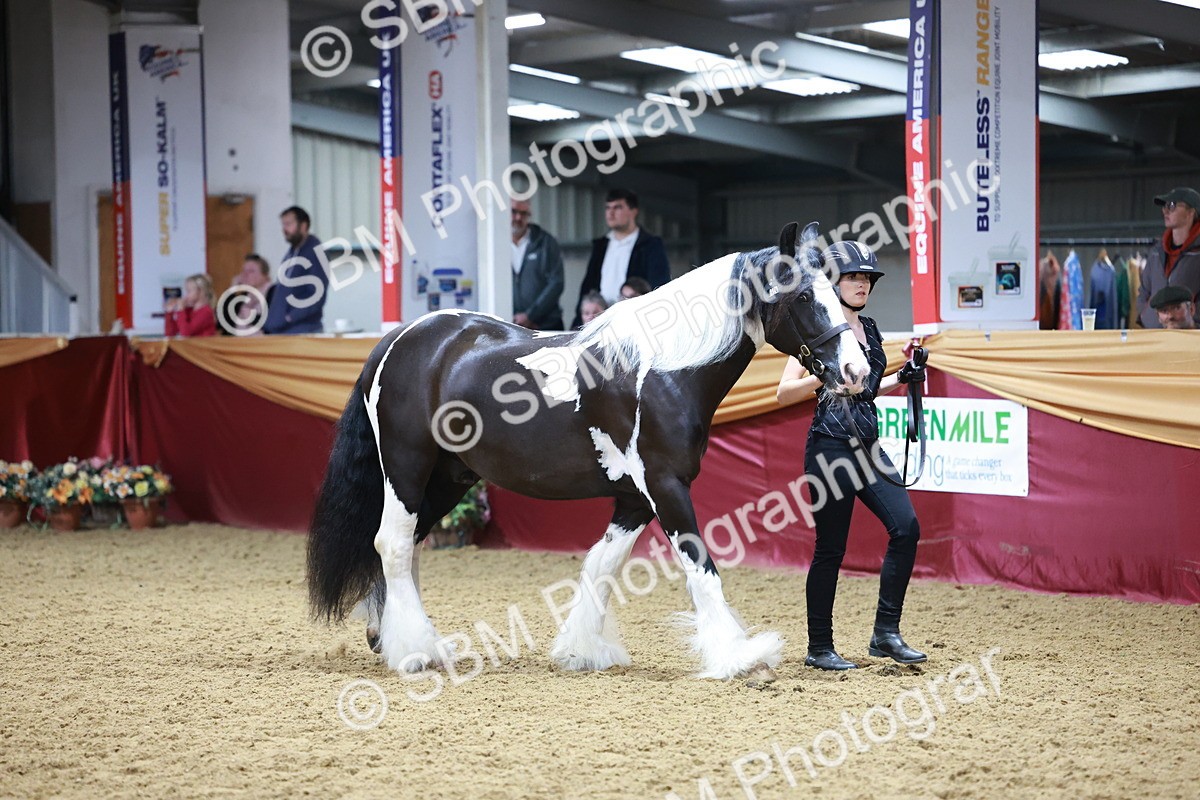 SBM_20097 - Class C - Novalty Champ