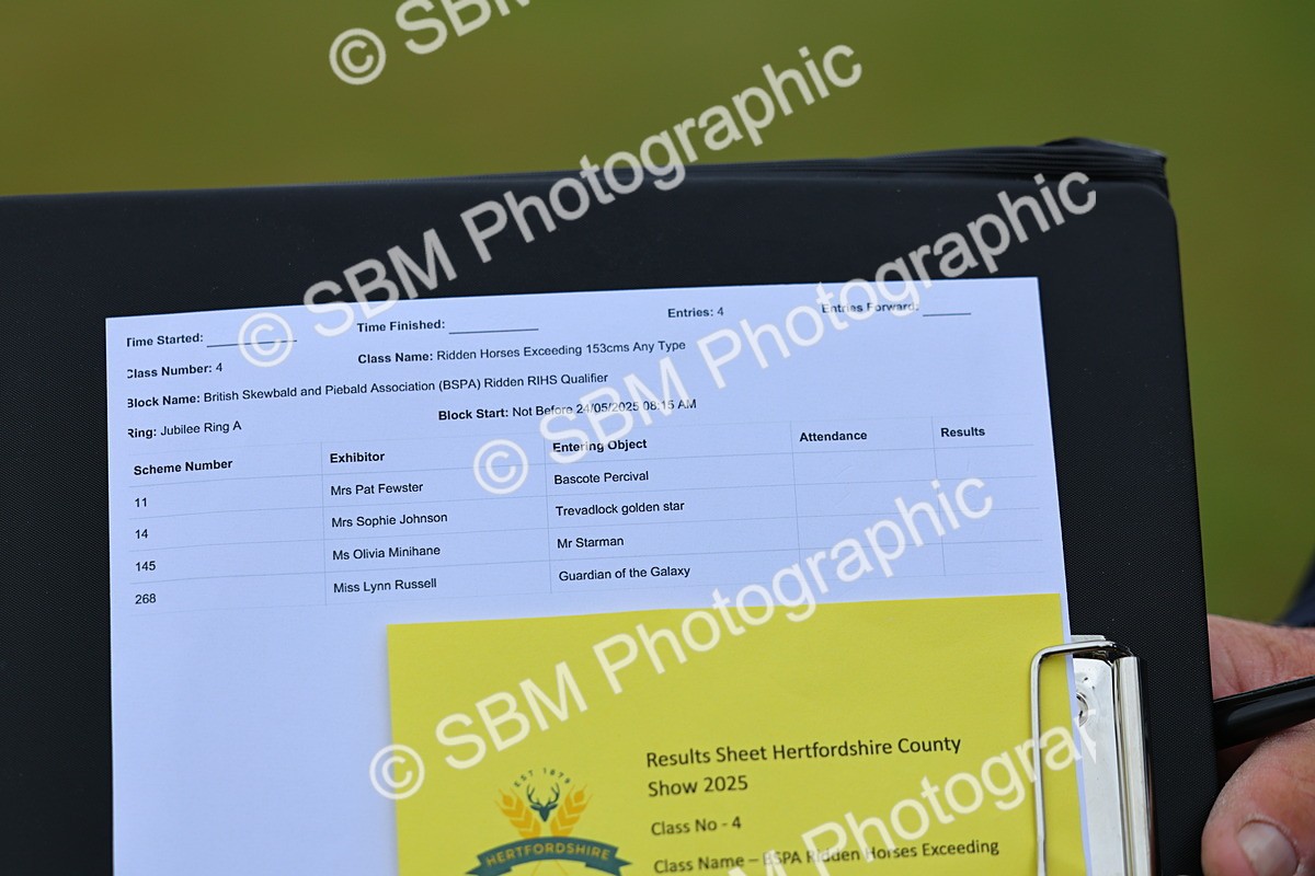 SBM_02455 - Class 9-11 Side Saddle including LIHS Rising Star Ladies Show Horse