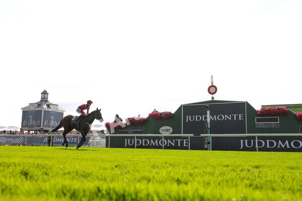 yr18082021r4-70 - Race 4 3.35pm Juddmonte International Stakes (British Champion Series race)