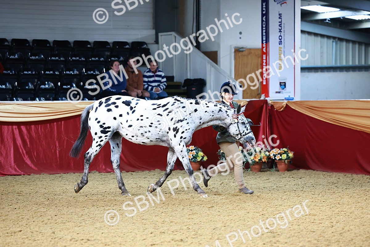 SBM_21754 - Class 901 - Supreme Final - IH  Diamond