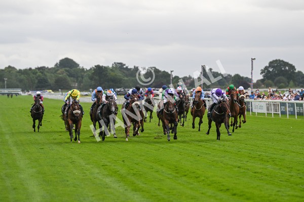 220824-Race 2-Diligently-6794 - Race 2 2.25pm Harry's Half Million By Goffs Premier Yearling Stakes