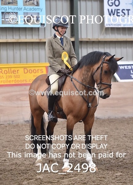 JAC_2498 - CLASS 3 Intermediate Working Hunter