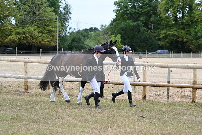WJ7_8924 - Class 4a Prettiest Mare 14.2hh and over