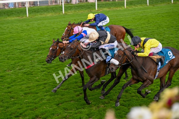 220824-Race 7-Alfa Kellenic-8094 - Race 7 5.20pm British EBF Fillies' Handicap