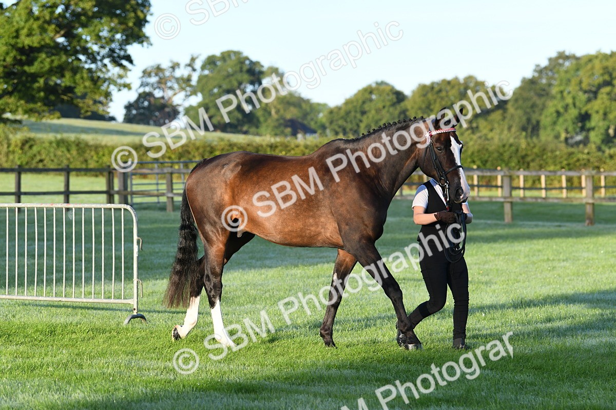 SBM_32450 - S15 - Condition & Turnout In Hand