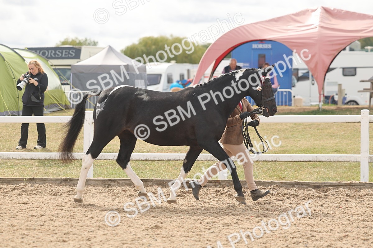 SBM_04944 - Class 20 - IH Veteran