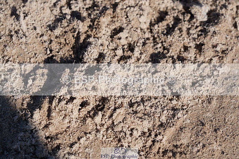 240728-092016-01184 - PC70, Round 1