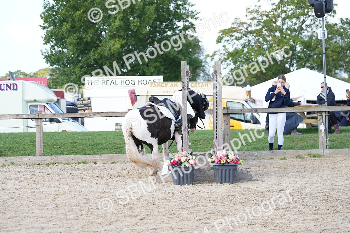 SBM_16822 - J58 - Clear Round 50cm