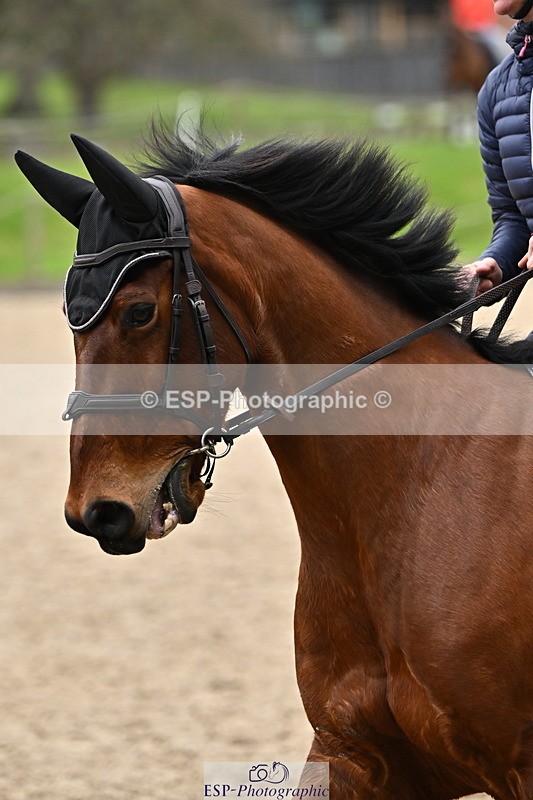 250201A-131028-00756 - Cls 03 Local Horse 110cm