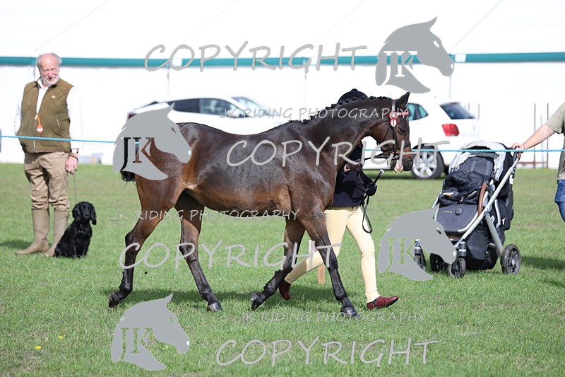 APP_2587 - Class 9 Veterans in hand