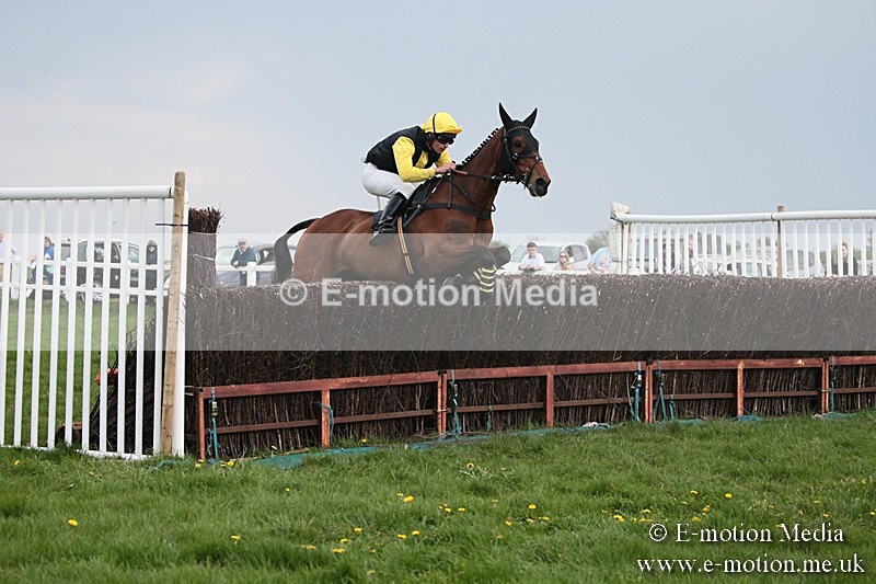 PtP 210418 389 - South & West Wilts Point-to-Point Larkhill 21/04/18