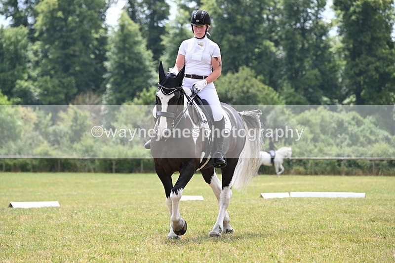 WJ6_6909 - Time 11:48 to 12:22