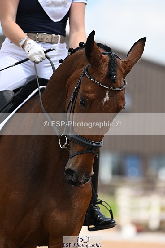 240621A-113903-02367 - Cls 5 BD Novice 37A