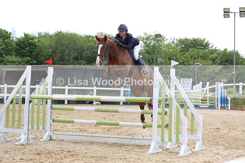 3E7A7475 - Class 8: Senior Foxhunter/1.20 open