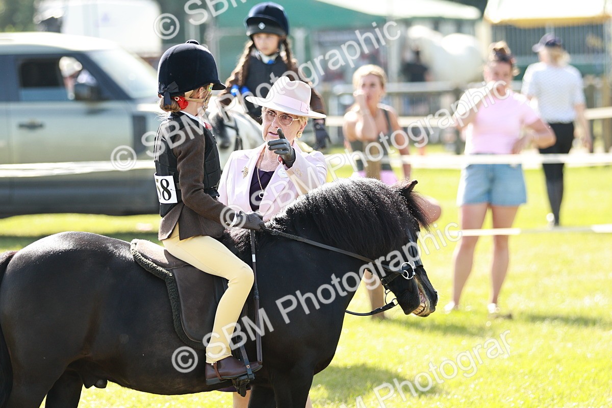SBM_12587 - Class 106-107 - BSPS LIHS Working Sports Pony