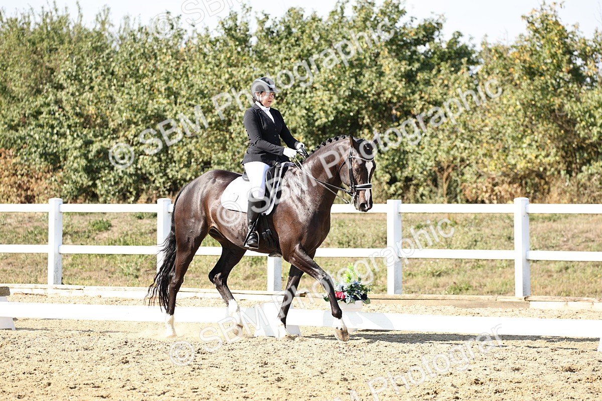 SBM_015339 - Class 9 - Advanced medium 3