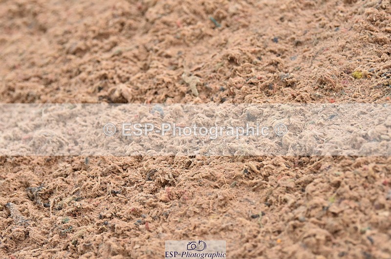 231028A-140736-01825 - Cls 5 Foxhunter & 1.10m Open