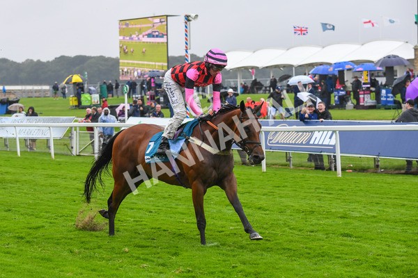 140723-Race 4-Andaleep-0404 - Race 4 3.50pm Azets Handicap