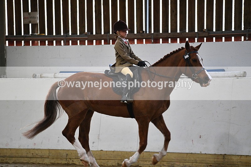 WJ5_6398 - Class 9 Ridden Veteran