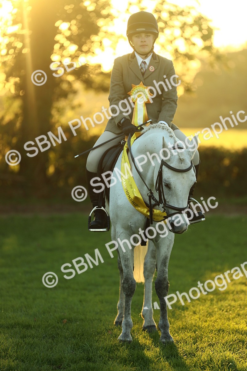SBM_56639 - Fun & Versatile Supreme Championship