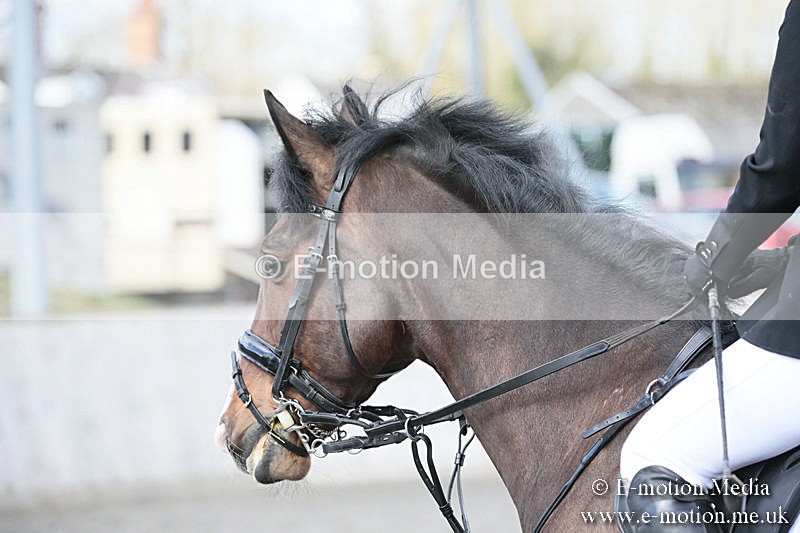 BVRC SJ 170319 347 - Bourne Valley Riding Club Showjumping 17/03/19