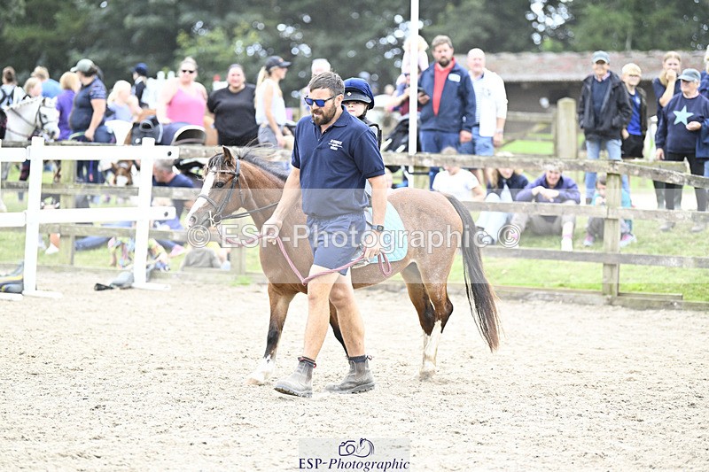 240822X-133608-08293 - 40cm LR R2 13.00 to 15.00