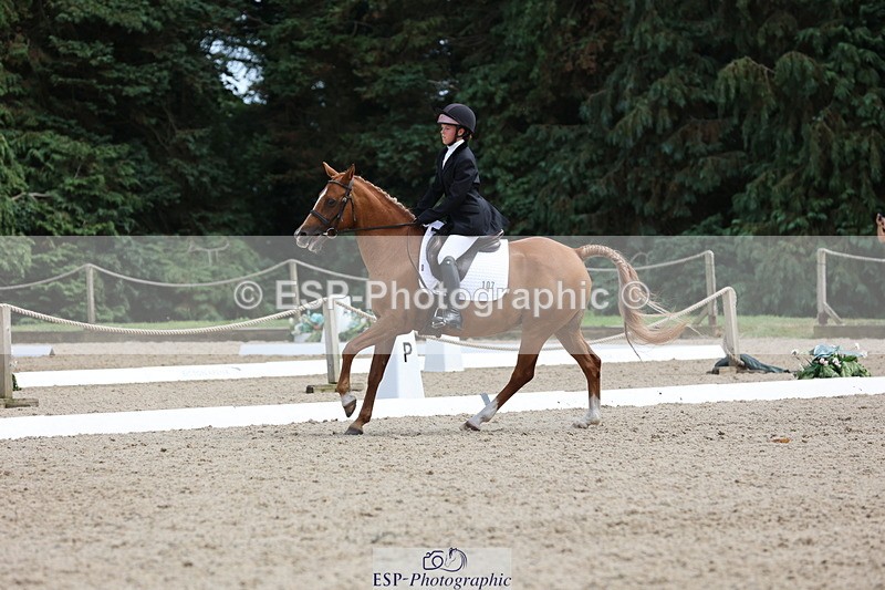 250718A-145240-02302 - 107-Beatrice.Coker-Brown-Portia.the.Fawn