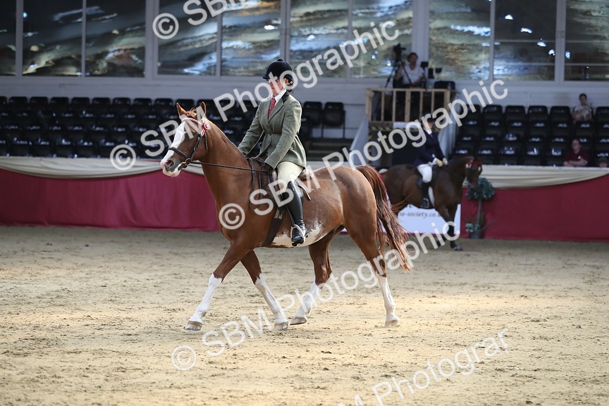 SBM_08337 - Class 11R Regional Ridden Veteran