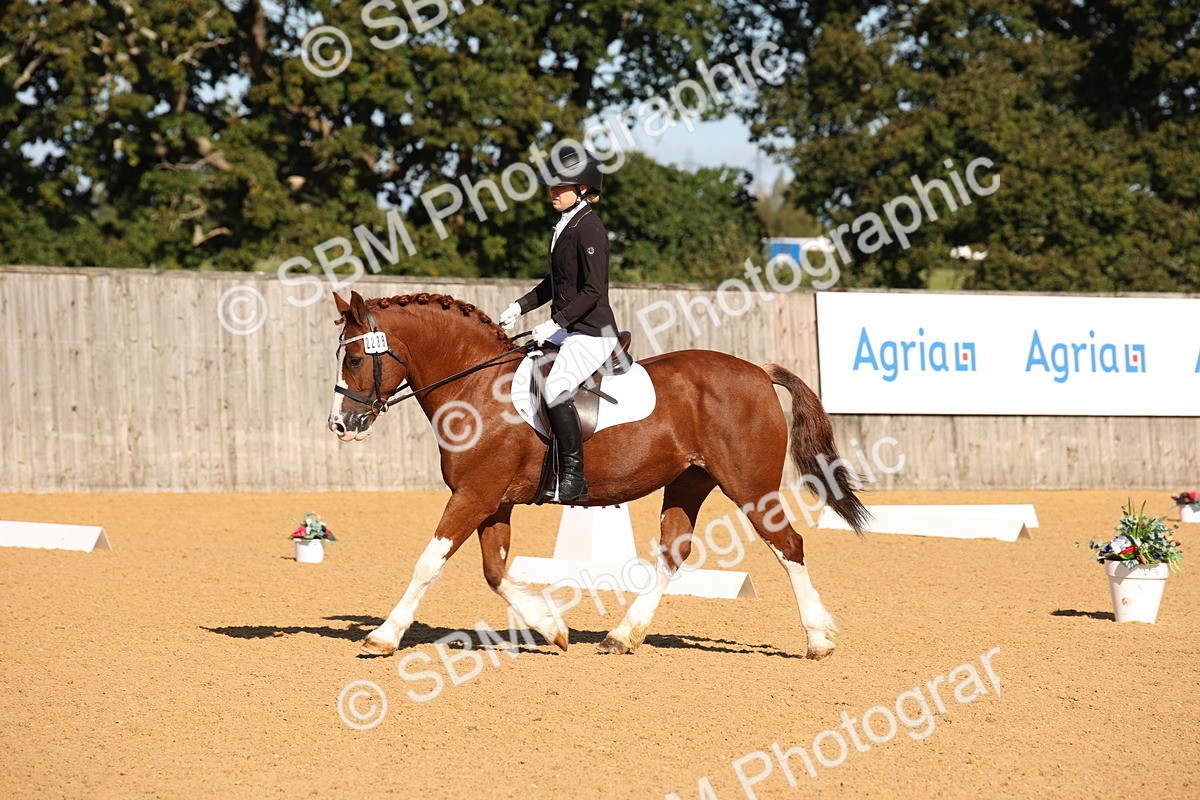 SBM_01913 - D2 Small Tour Championship Intro C