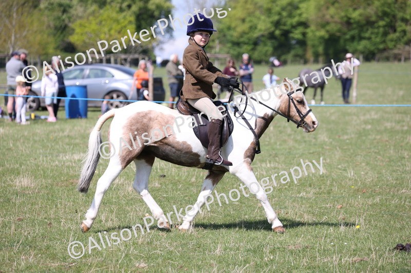 20250427-3181 - Class 33 - Best Pony 14.2hh and Under