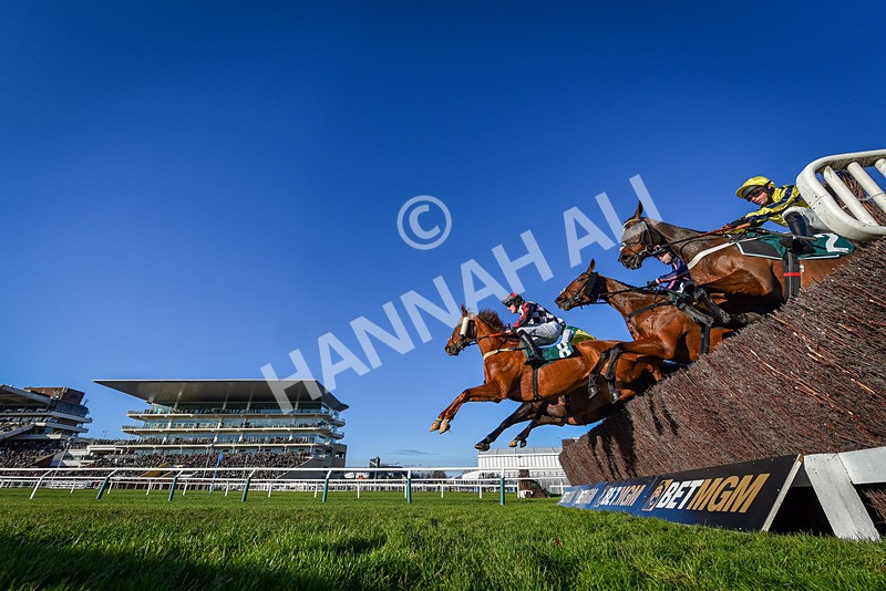 141224-Race 2-Moon DOrange-9275 - Race 2