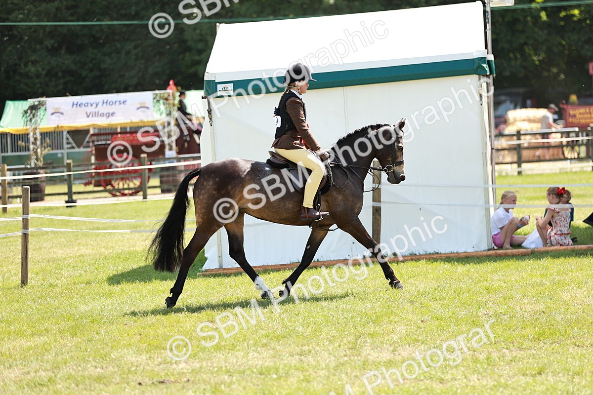 SBM_15775 - Class 108-109 - BSPS LIHS Open Gradle & Nursery Stakes