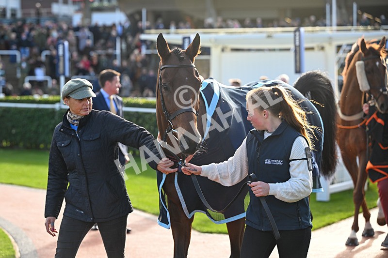 251025-Race 4-Ma Shantou-8891 - Race 4