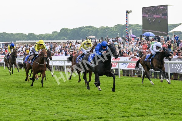 170524-Race 3-Devoted Queen-7874 - Race 3 3.15pm Sky Bet Fillies' Stakes (Registered As The Michael Seely Memorial Fillies' Stakes)