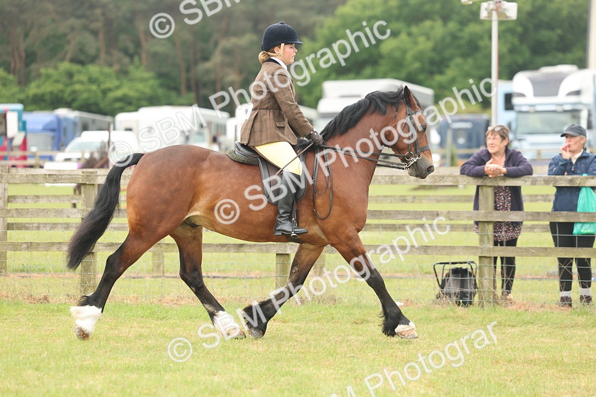 SBM_07283 - Class 76-77 - Ridden M&M Welsh Ponies