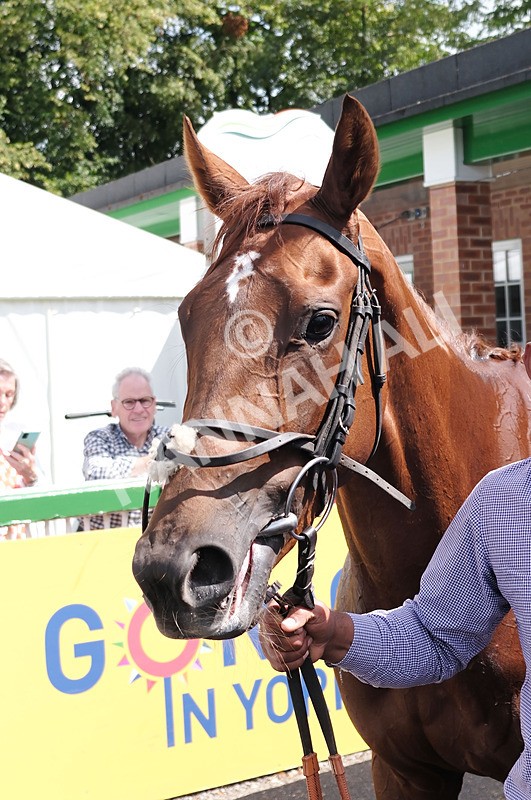 260724-Race 1-Ryka-18 - Race 1