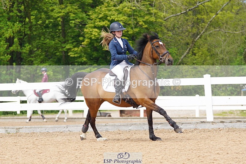 230513A-144548-01545 - Cls 7 Pony Foxhunter & Open
